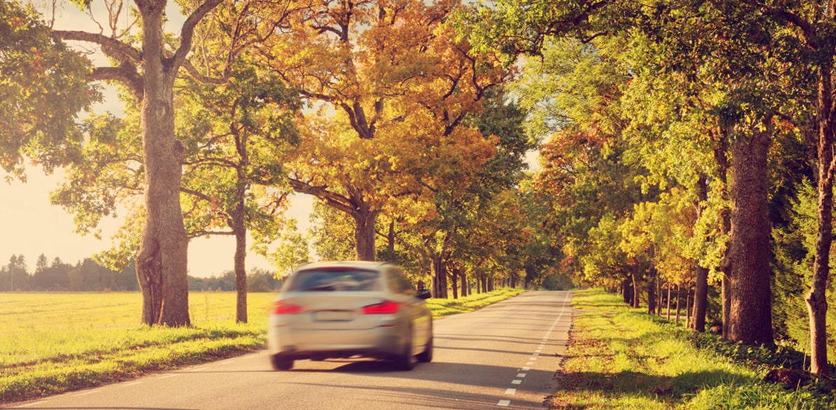Los kilómetros y la antigüedad son dos factores que influyen en la seguridad de un coche.