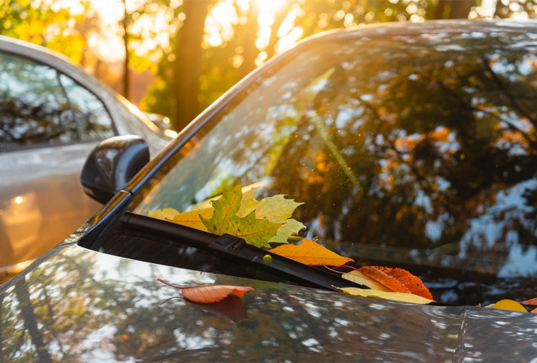 Prepara tu coche para el otoño