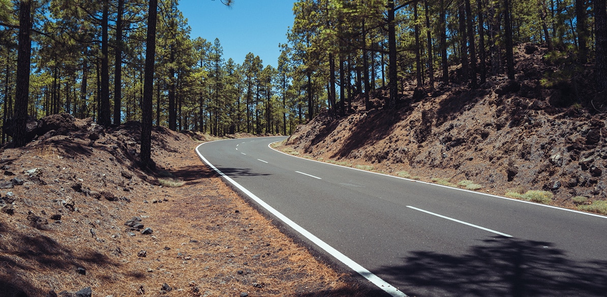 Sección de Estudios dentro de Seguridad Vial en la Empresa Cómo salvar 300 vidas al año en España. La contribución de las carreteras convencionales a la mejora de la seguridad vial con medidas de bajo coste.